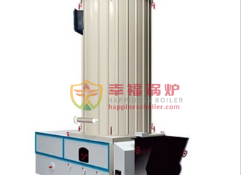 YYL series thermal steam boiler